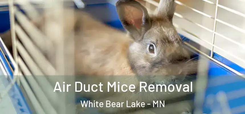  Air Duct Mice Removal White Bear Lake - MN