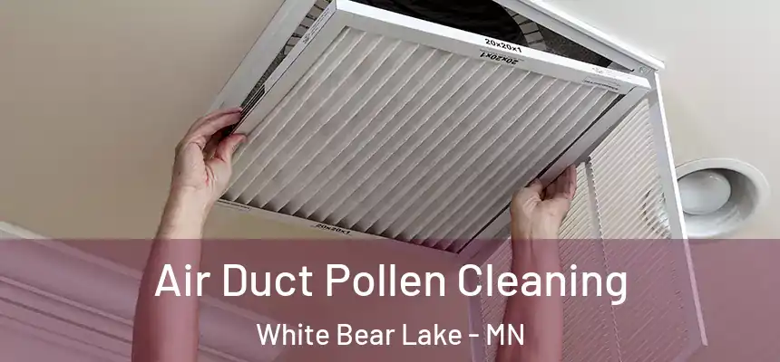  Air Duct Pollen Cleaning White Bear Lake - MN