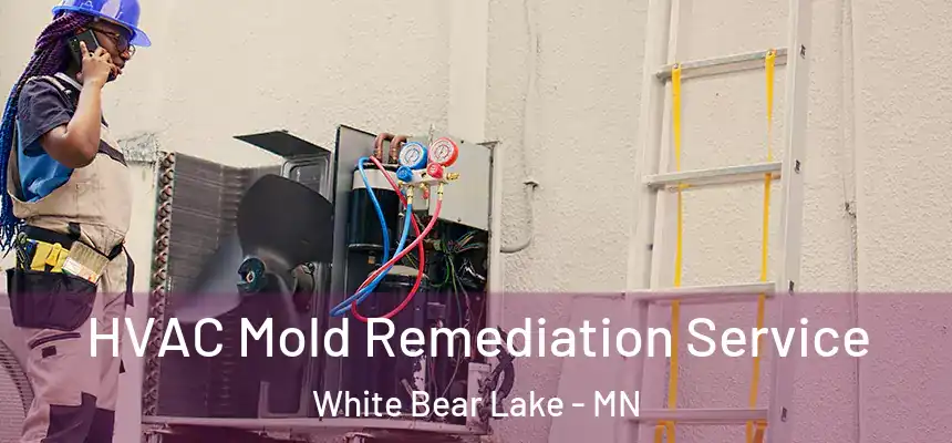  HVAC Mold Remediation Service White Bear Lake - MN
