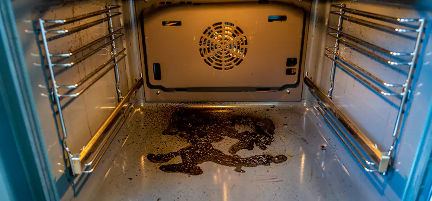 Our Dryer Vent Mold Cleaning Services in White Bear Lake, MN