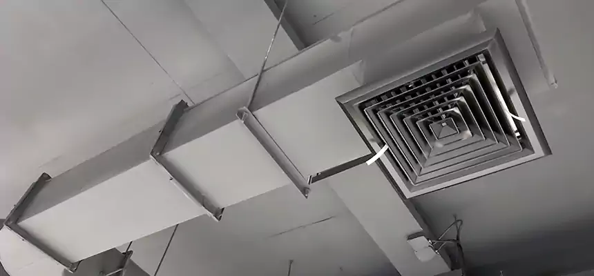 Our Pest Removal From Ducts Services in White Bear Lake, MN