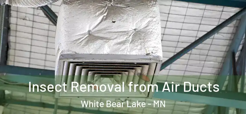  Insect Removal from Air Ducts White Bear Lake - MN
