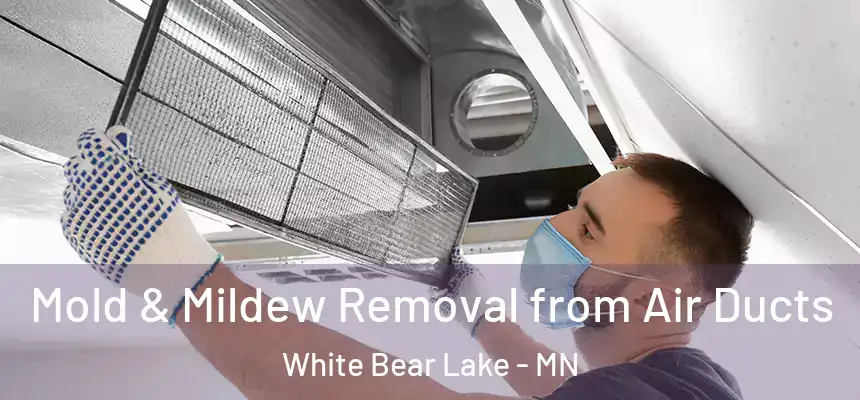  Mold & Mildew Removal from Air Ducts White Bear Lake - MN