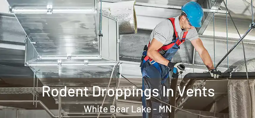 Rodent Droppings In Vents White Bear Lake - MN