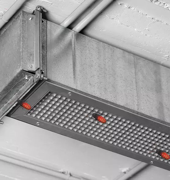About Air Duct Cockroach Removal in White Bear Lake, MN