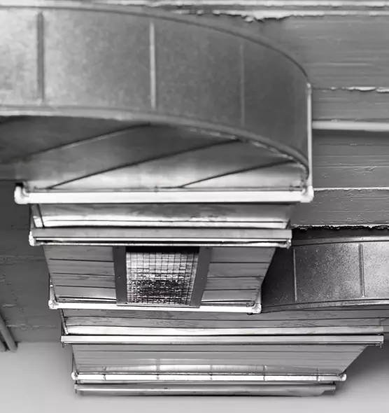 Professional Air Duct Pest Removal in White Bear Lake, MN