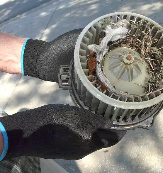 About Air Duct Rat Removal in White Bear Lake, MN