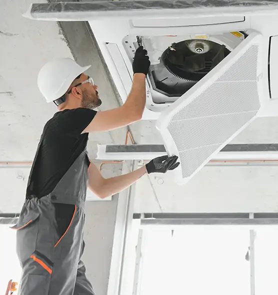 About Air Duct Rodent Removal in White Bear Lake, MN