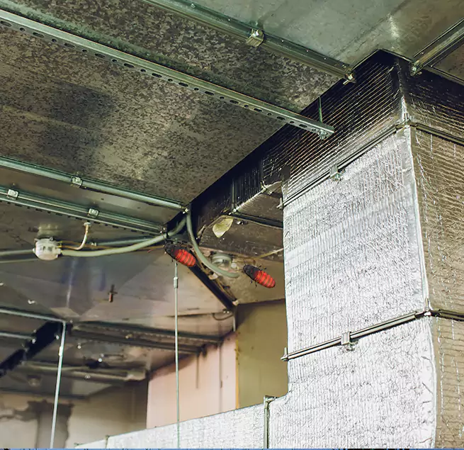 Why Homeowners & Businesses Trust Us in White Bear Lake, MN?