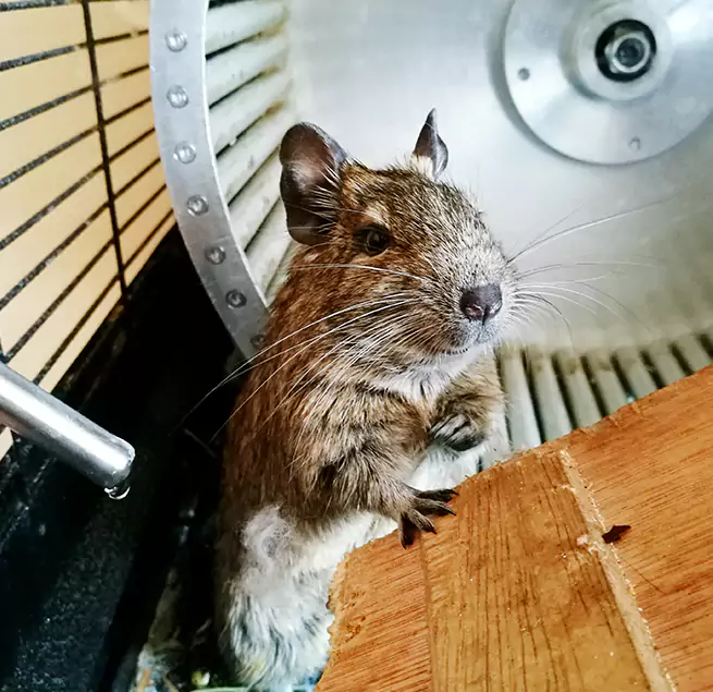 Why Homeowners & Businesses Trust Us White Bear Lake, MN